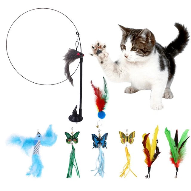 Jouet en plumes de chat 8 pièces avec cadeaux de remplacement de plumes