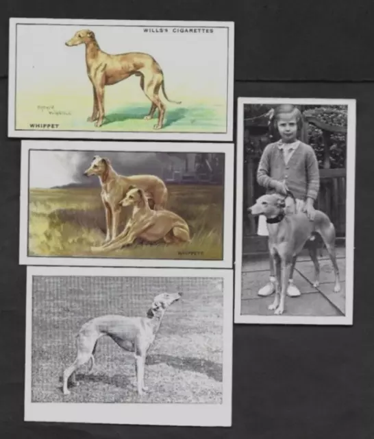 4 Different Vintage WHIPPET Tobacco/Cigarette/Tea Dog Cards Lot