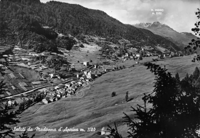 Cartolina Madonna d' Aprica panorama 1951