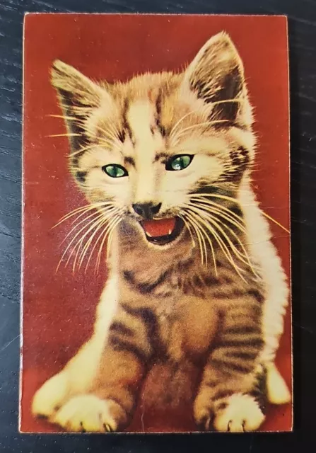 Vintage 1950s Novelty Squeaker Postcard Ferocious Tabby Kitten Green Eyes Japan