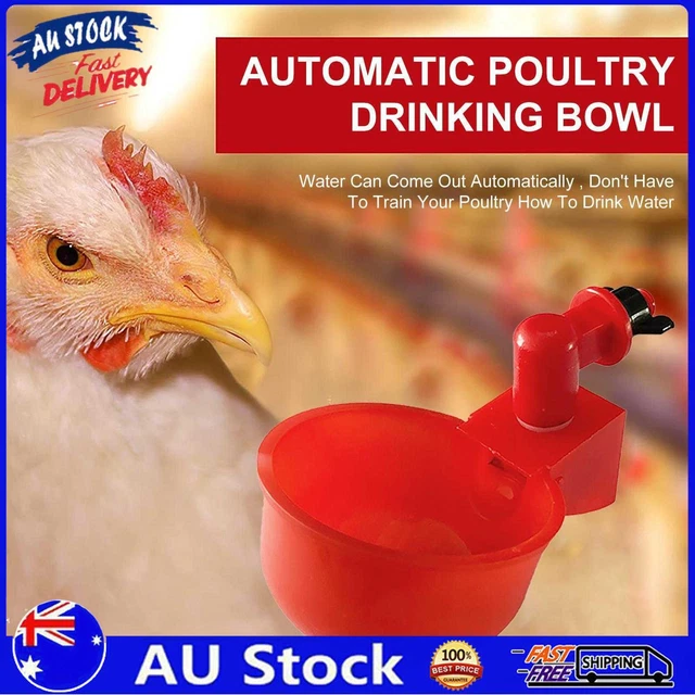 AU Chicken Water Cups Automatic Chicken Waterer Kit for Poultry Poultry Watering