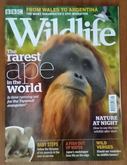 BBC Wildlife magazine CHOOSE YOUR ISSUE 3