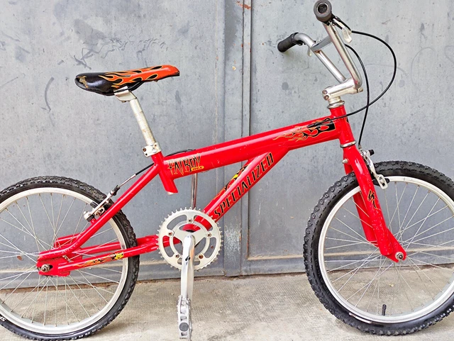 Mongoose fatboy bike top