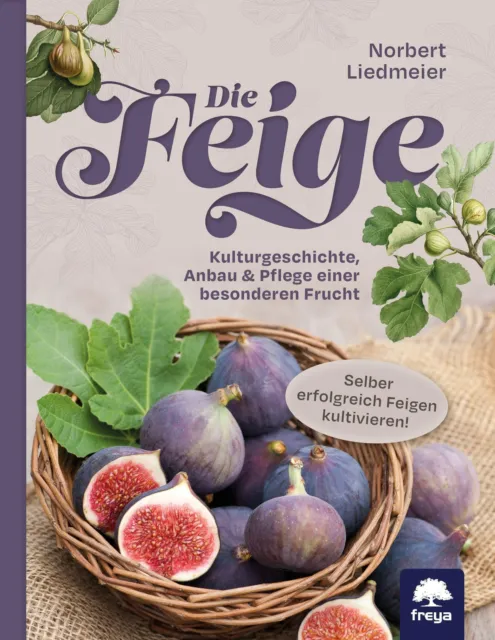 Die Feige | Norbert Liedmeier | Taschenbuch | Deutsch | 2021 | Freya Verlag