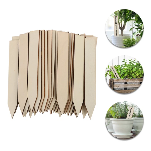 Bastoncini di supporto per piante verdi da 40 cm, pali per piante verdi per fiori da giardino per orchidee piselli e verdure, 50 pezzi