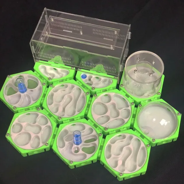3D Acrílico Hormigas Granja Múltiples Cámaras Nidos de Hormigas Formicario Ciencia