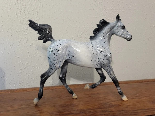 "Abolone" OOAK Glossy Appaloosa Arab Yearling