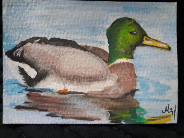 ACEO Watercolor Painting Chuck the Mallard Duck Artwork Miniature