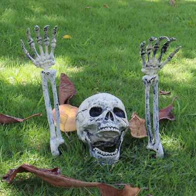 Decoración de Halloween cráneo mano simulación hueso cráneo accesorios cráneo adorno-CJ