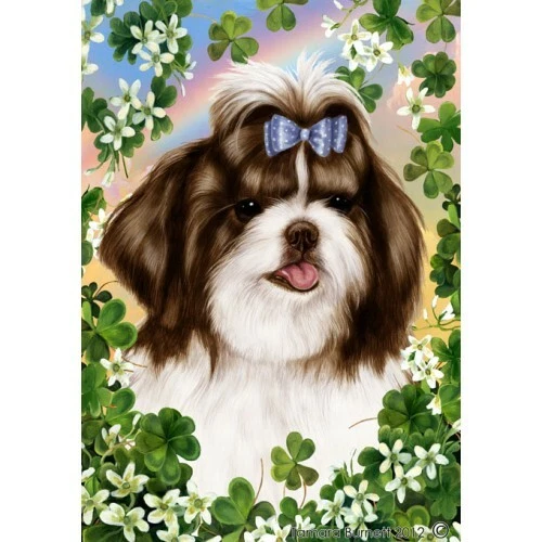 Clover Garden Flag - Brown and White Shih Tzu 311751