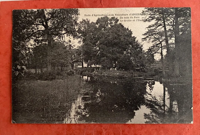 cpa 49 ANGERS - School of Agriculture and Viticulture - A Corner of the Park (1906)
