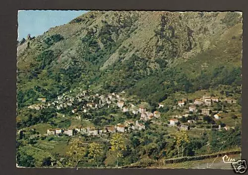 VENACO (CORSE) VILLAS en vue aérienne panoramique