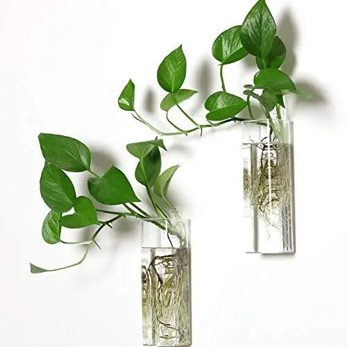 Wall Hanging Planter Glass Terrariums - Rectangle Shape Plants Holders Air Pl...