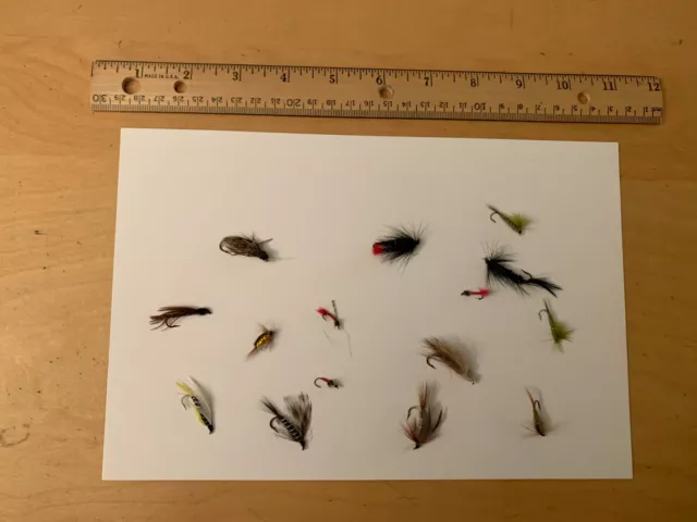 Fly Fishing Assortment Trout Lures Lot Of 15 Nymph Bait As Is