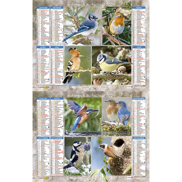 Le Calendrier 2025 de la Poste : Un Aperçu des Thèmes, des Tarifs et de l'Impact Culturel