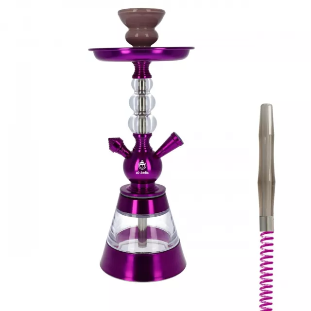 chicha el badia celeste junior 3