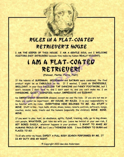 Rules In A Flat-Coated Retriever's House