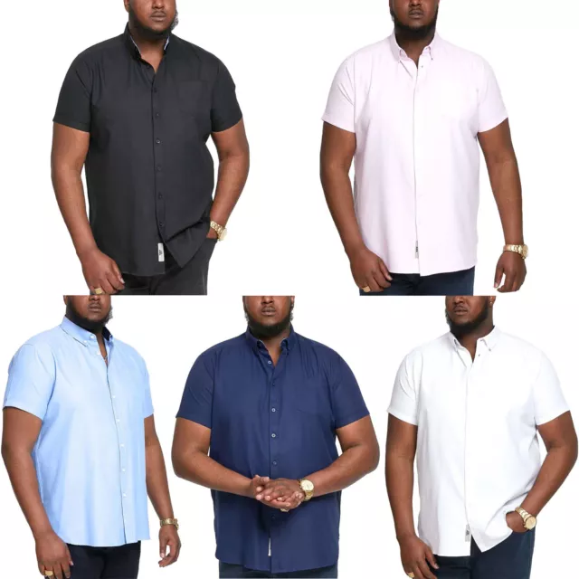 D555 Mens James Big Tall Kingsize Short Sleeve Button Down Collar Oxford Shirt