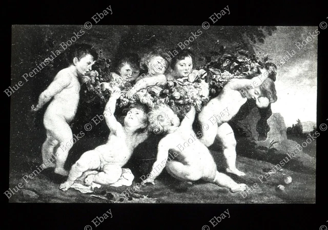 Rochers granitiques, photo plaque verre, noir & blanc, positif 8,5x10