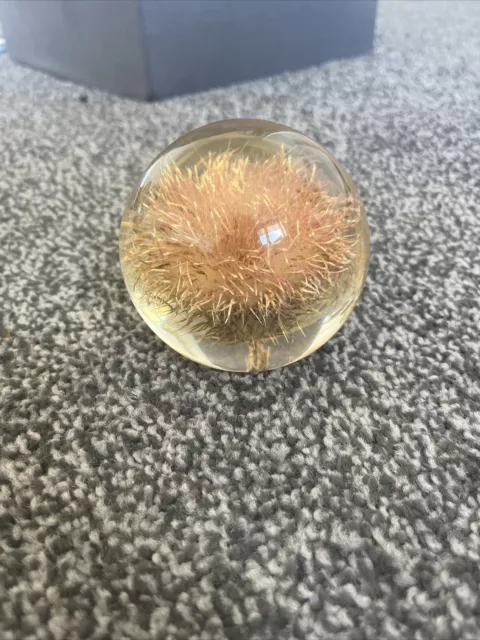 Glass Paperweight