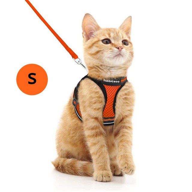 rabbitgoo Cat Harness & Leash Set Escape Proof Adjustable Reflective Orange S