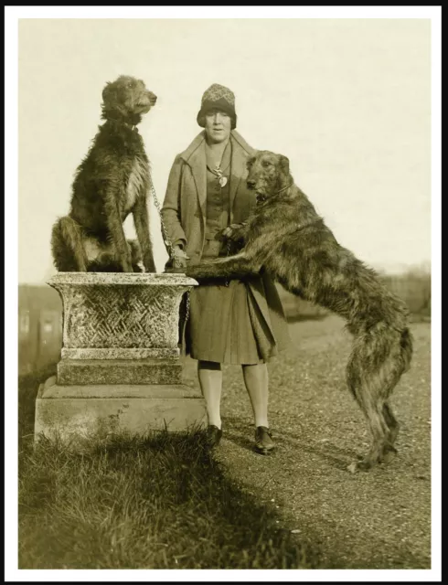 Deerhound Dogs And Lady Owner  Vintage Style Dog Photo Print Poster