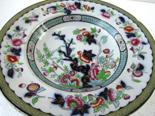 19Th Century Vesper English China Porcelain Soup Plate Indian Tree London Rare"1 2