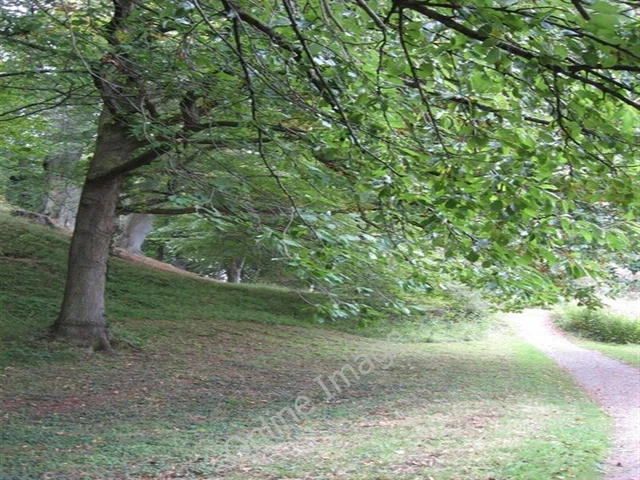 Photo 6x4 Leafy glade at   The Weir Gardens Canon Bridge  c2007