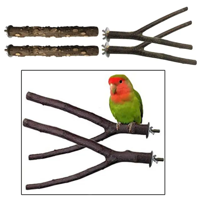 4pcs Natürliche Holz Papagei Vogel Stand Baum Zweig   Halter Spielzeug