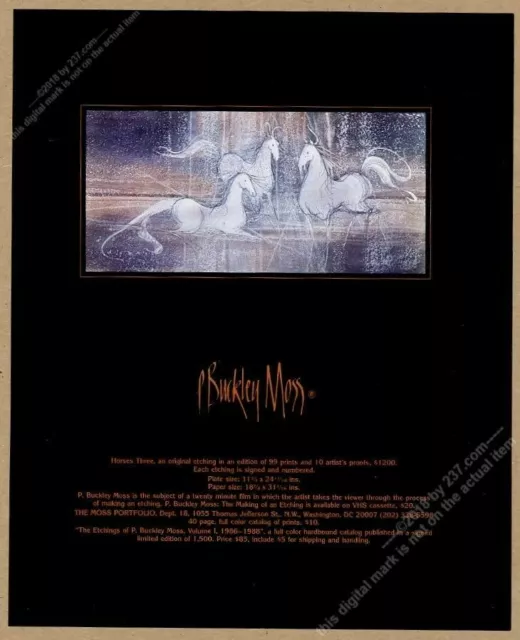 1989 P Buckley Muschio Cavalli Tre Bianco Arte Portfolio Vintage Stampa Ad