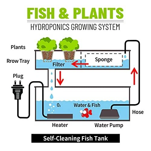 Betta Fish Tank 1.6 Gallon Aquarium Upgrade Hydroponics Growing System Beta F... 3