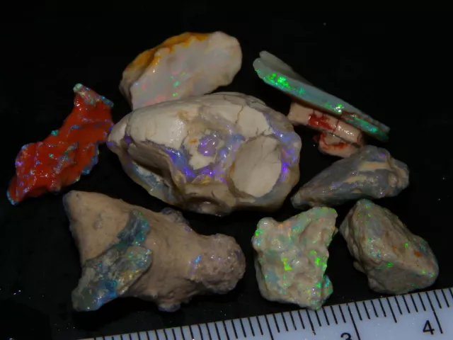 Nice Rough Fossil/Seam Opal Parcel 63cts Lightning Ridge Australia Fires NR Au