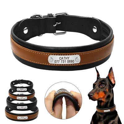 Genuine Leather Personalized Dog Collar Soft Padded Medium Large Dogs Adjustable