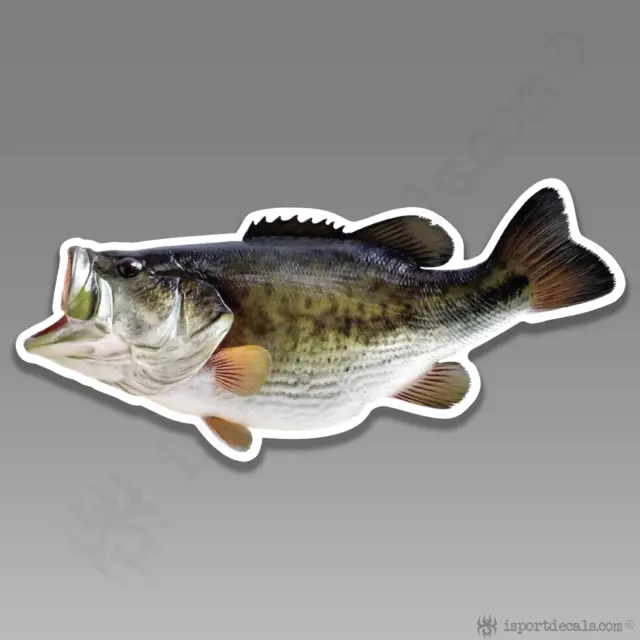 RIVER LIFE DECAL Script with River R Sticker Fishing Fisherman
