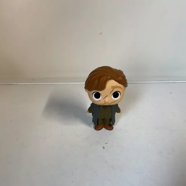 Remus Lupin Figure Harry Potter Funko Mystery Minis Harry Potter 1/36