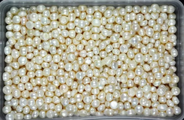 200 Ct Australian White Pearl Loose Gemstone Lot Natural Round Cut Certified