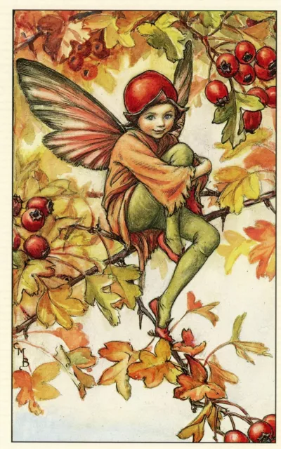 The Hawthorn Fairy, Flower Fairies of the Autumn, Cicely Mary Barker --POSTCARD