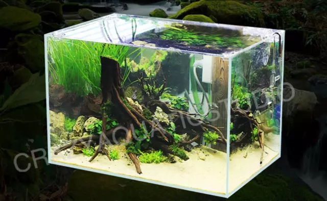 Réservoir de plantes d'aquarium rectangulaire et cube sans bordure bas en fer 2