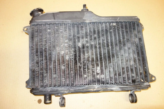 Grille De Radiateur Yamaha 240/250 TDR - Pour Moto - Légèrement Fissurée Mais Fonctionnelle