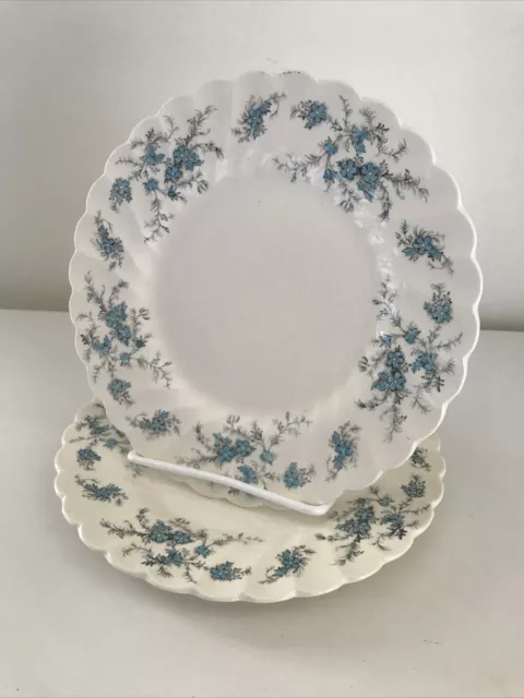 Vtg Set Of 2 Myott "Forget Me Not" Salad or Dessert Plates 8”