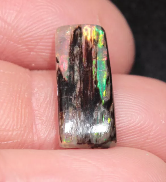 Precious Stable Opal Conk Wood Cabochon Virgin Valley Nevada - 2.8 ct - opalized