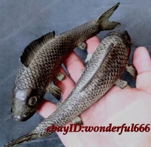 2pc Folk copper carvings a auspicious lifelike Wealth fish statue Lucky Animal