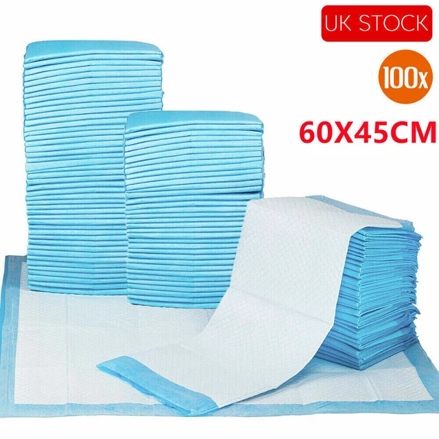 100 Pcs Disposable Indoor Dog Training Pads Puppy Pads