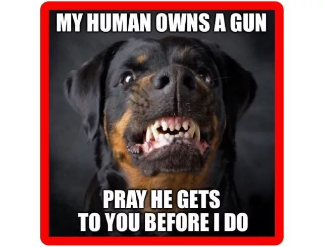 Funny Rottweiler Dog Owns A Gun  Refrigerator / Tool  Box  Magnet