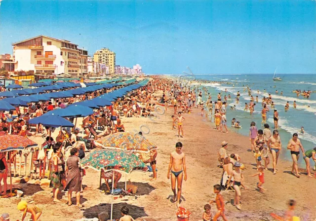 Cartolina Margherita di Savoia Spiaggia animata