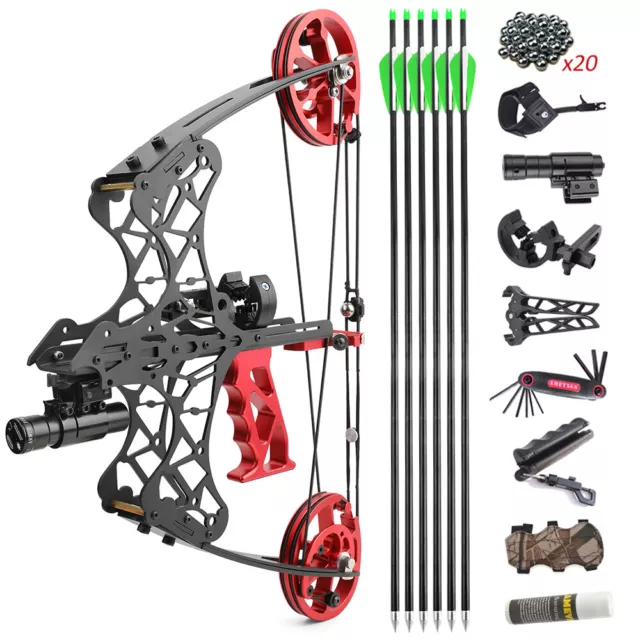 45lbs Mini Compound Bow Set Steel Ball Arrows Fishing Hunting Dual-use Archery