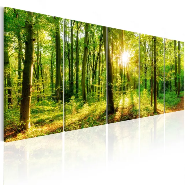 Bilder Wald Vlies Leinwandbild 5 tlg Waldlandschaft Natur Panorama Baum Wandbild