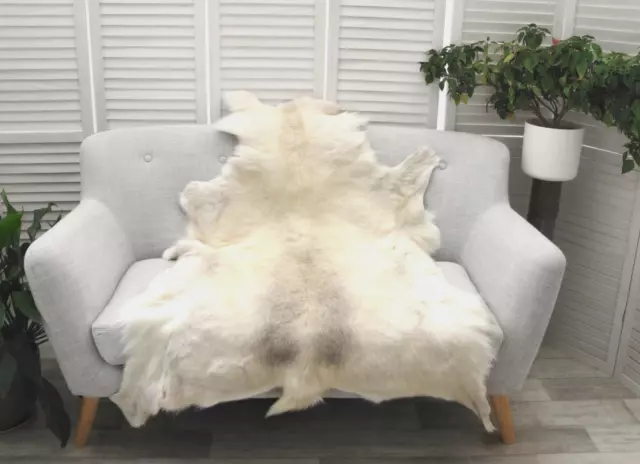 Genuine RARE ALBINO Reindeer Hide Rug Massive Skin Pelt Bed Floor Cover R527