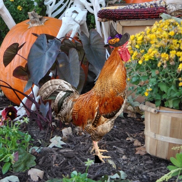 Halloween Chicken Garden Stakes Ornaments Yard Signs Rooster Hen Lawn Insert 2