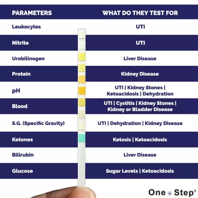 Urinteststreifen 10 Parameter Diabetes, Keton, Harnwegsinfektion, Leber, pH & mehr 2